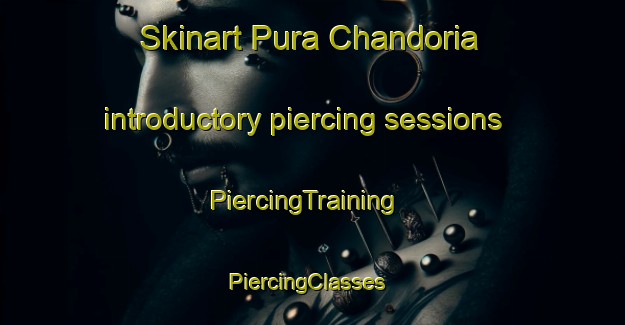 Skinart Pura Chandoria introductory piercing sessions | PiercingTraining | PiercingClasses | SkinartTraining-India