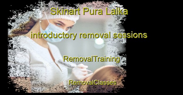 Skinart Pura Lalka introductory removal sessions | RemovalTraining | RemovalClasses | SkinartTraining-India