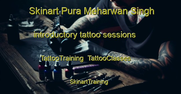 Skinart Pura Meharwan Singh introductory tattoo sessions | TattooTraining | TattooClasses | SkinartTraining-India