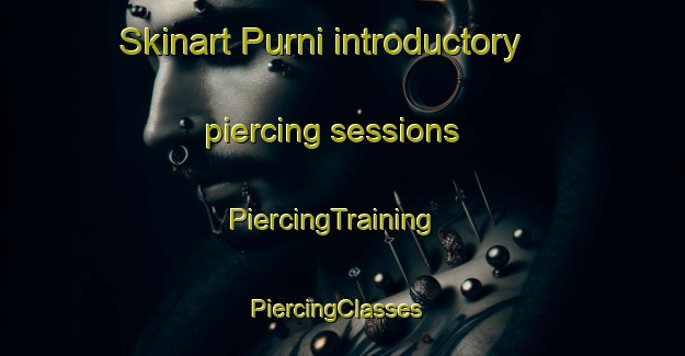 Skinart Purni introductory piercing sessions | PiercingTraining | PiercingClasses | SkinartTraining-India