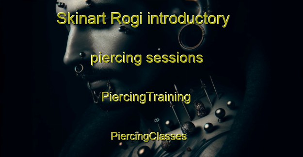 Skinart Rogi introductory piercing sessions | PiercingTraining | PiercingClasses | SkinartTraining-India