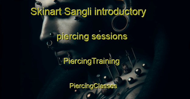 Skinart Sangli introductory piercing sessions | PiercingTraining | PiercingClasses | SkinartTraining-India