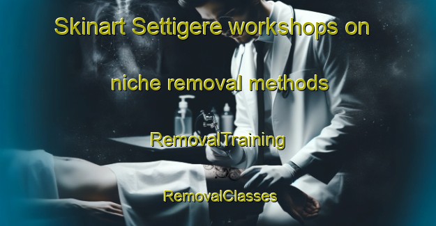 Skinart Settigere workshops on niche removal methods | RemovalTraining | RemovalClasses | SkinartTraining-India