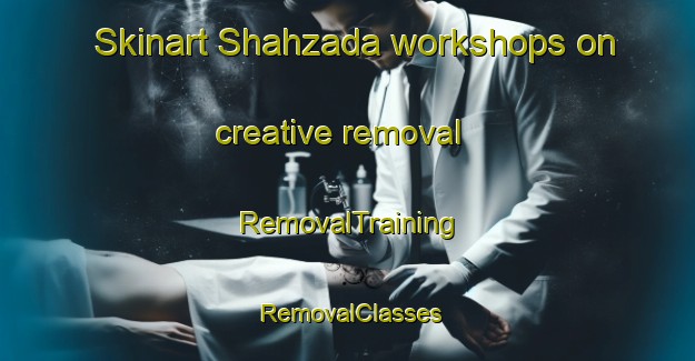 Skinart Shahzada workshops on creative removal | RemovalTraining | RemovalClasses | SkinartTraining-India