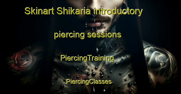 Skinart Shikaria introductory piercing sessions | PiercingTraining | PiercingClasses | SkinartTraining-India
