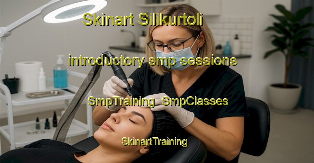 Skinart Silikurtoli introductory smp sessions | SmpTraining | SmpClasses | SkinartTraining-India