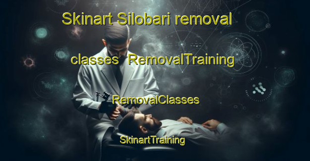 Skinart Silobari removal classes | RemovalTraining | RemovalClasses | SkinartTraining-India