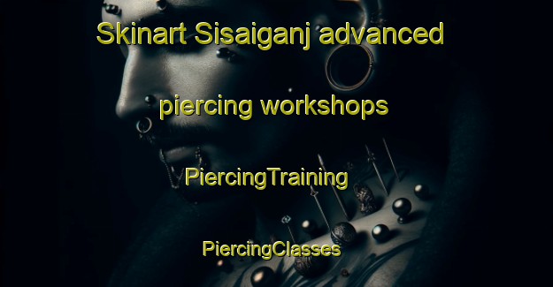 Skinart Sisaiganj advanced piercing workshops | PiercingTraining | PiercingClasses | SkinartTraining-India