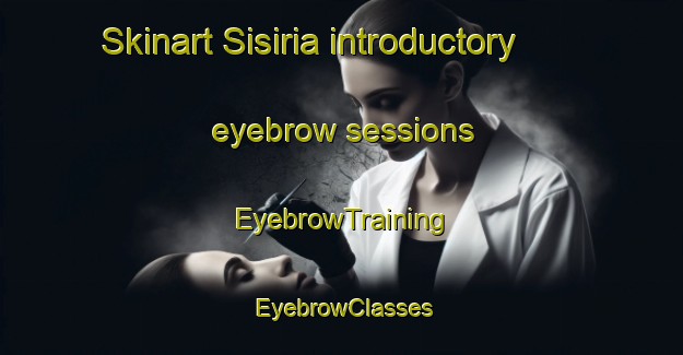 Skinart Sisiria introductory eyebrow sessions | EyebrowTraining | EyebrowClasses | SkinartTraining-India