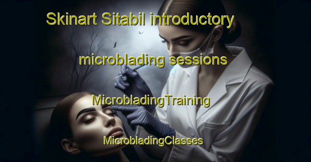 Skinart Sitabil introductory microblading sessions | MicrobladingTraining | MicrobladingClasses | SkinartTraining-India