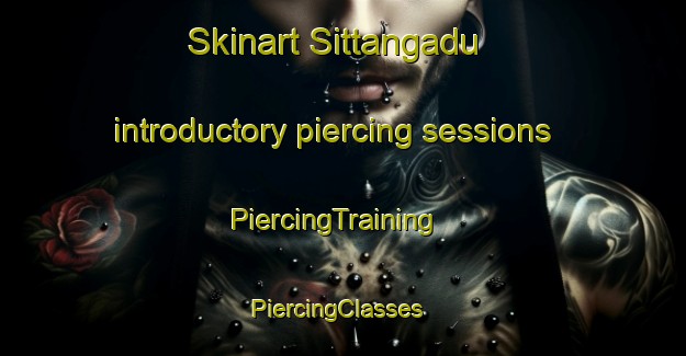 Skinart Sittangadu introductory piercing sessions | PiercingTraining | PiercingClasses | SkinartTraining-India