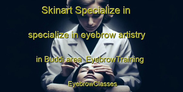Skinart Specialize in specialize in eyebrow artistry in Buddi area | EyebrowTraining | EyebrowClasses | SkinartTraining-India