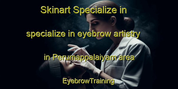 Skinart Specialize in specialize in eyebrow artistry in Perumappalaiyam area | EyebrowTraining | EyebrowClasses | SkinartTraining-India