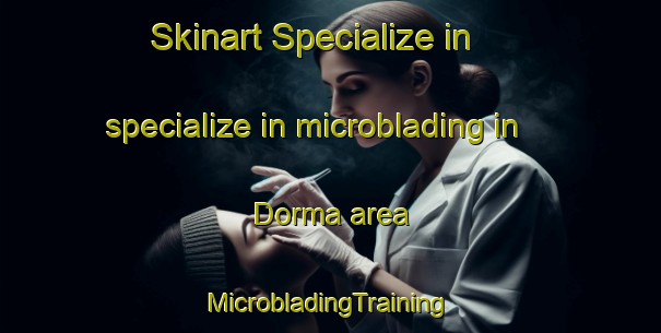 Skinart Specialize in specialize in microblading in Dorma area | #MicrobladingTraining #MicrobladingClasses #SkinartTraining-India