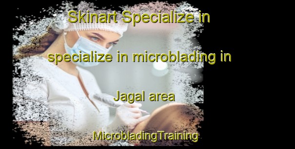 Skinart Specialize in specialize in microblading in Jagal area | #MicrobladingTraining #MicrobladingClasses #SkinartTraining-India