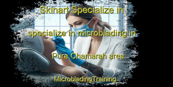 Skinart Specialize in specialize in microblading in Pura Chamarah area | #MicrobladingTraining #MicrobladingClasses #SkinartTraining-India