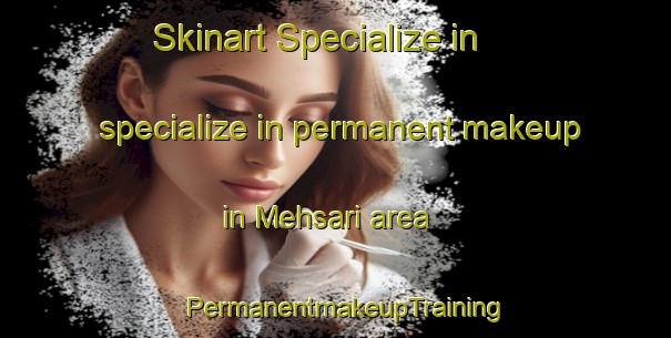 Skinart Specialize in specialize in permanent makeup in Mehsari area | PermanentmakeupTraining | PermanentmakeupClasses | SkinartTraining-India