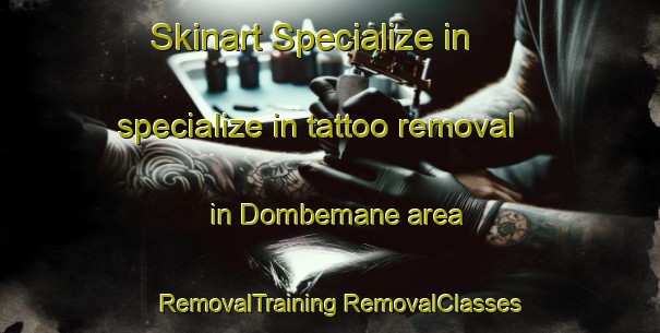 Skinart Specialize in specialize in tattoo removal in Dombemane area | #RemovalTraining #RemovalClasses #SkinartTraining-India