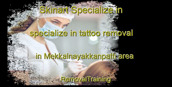 Skinart Specialize in specialize in tattoo removal in Mekkalnayakkanpatti area | RemovalTraining | RemovalClasses | SkinartTraining-India