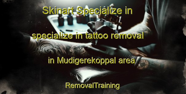 Skinart Specialize in specialize in tattoo removal in Mudigerekoppal area | RemovalTraining | RemovalClasses | SkinartTraining-India