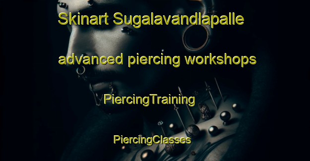 Skinart Sugalavandlapalle advanced piercing workshops | PiercingTraining | PiercingClasses | SkinartTraining-India