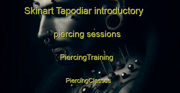 Skinart Tapodiar introductory piercing sessions | PiercingTraining | PiercingClasses | SkinartTraining-India