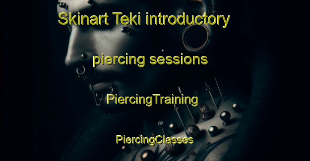 Skinart Teki introductory piercing sessions | #PiercingTraining #PiercingClasses #SkinartTraining-India