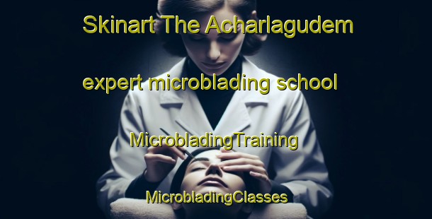 Skinart The Acharlagudem expert microblading school | #MicrobladingTraining #MicrobladingClasses #SkinartTraining-India