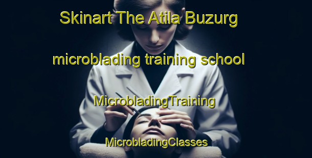 Skinart The Atila Buzurg microblading training school | #MicrobladingTraining #MicrobladingClasses #SkinartTraining-India