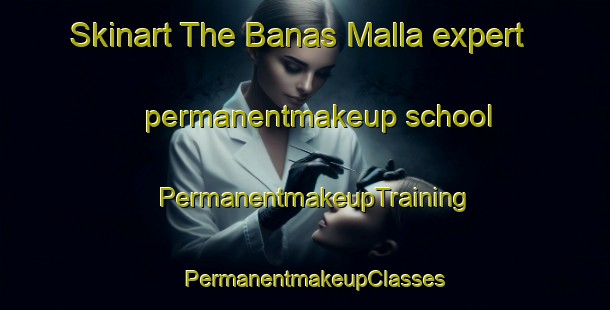 Skinart The Banas Malla expert permanentmakeup school | PermanentmakeupTraining | PermanentmakeupClasses | SkinartTraining-India