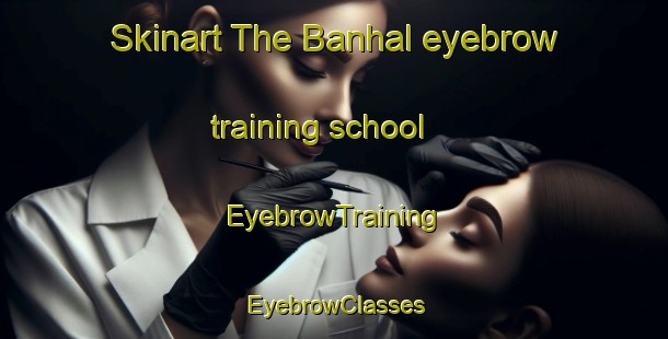 Skinart The Banhal eyebrow training school | EyebrowTraining | EyebrowClasses | SkinartTraining-India