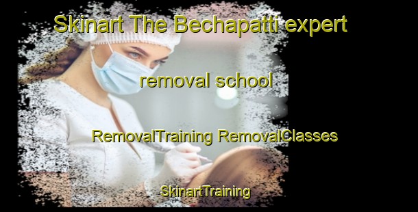 Skinart The Bechapatti expert removal school | #RemovalTraining #RemovalClasses #SkinartTraining-India