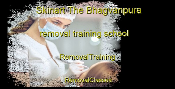 Skinart The Bhagvanpura removal training school | RemovalTraining | RemovalClasses | SkinartTraining-India