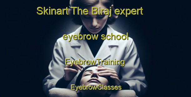 Skinart The Biraj expert eyebrow school | EyebrowTraining | EyebrowClasses | SkinartTraining-India