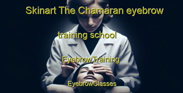 Skinart The Chamaran eyebrow training school | EyebrowTraining | EyebrowClasses | SkinartTraining-India
