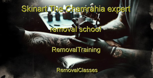 Skinart The Chamrahia expert removal school | RemovalTraining | RemovalClasses | SkinartTraining-India