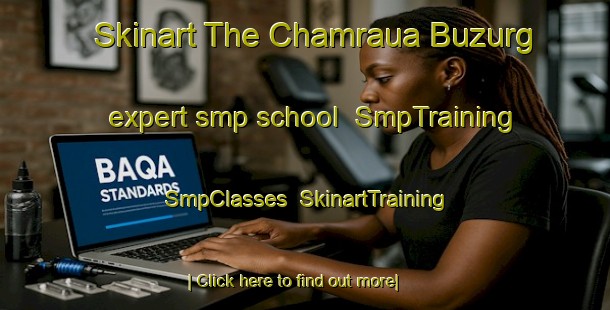 Skinart The Chamraua Buzurg expert smp school | SmpTraining | SmpClasses | SkinartTraining-India