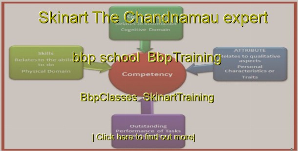Skinart The Chandnamau expert bbp school | BbpTraining | BbpClasses | SkinartTraining-India