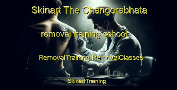 Skinart The Changorabhata removal training school | #RemovalTraining #RemovalClasses #SkinartTraining-India