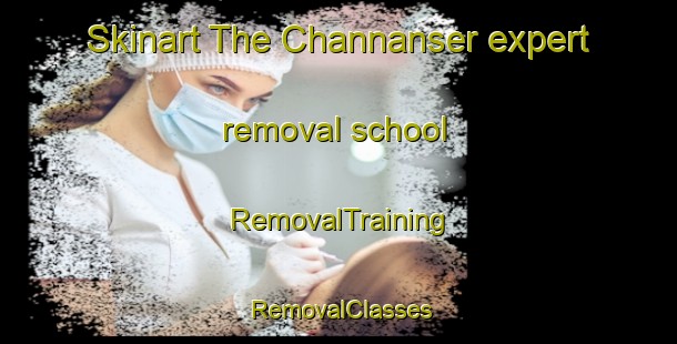 Skinart The Channanser expert removal school | RemovalTraining | RemovalClasses | SkinartTraining-India
