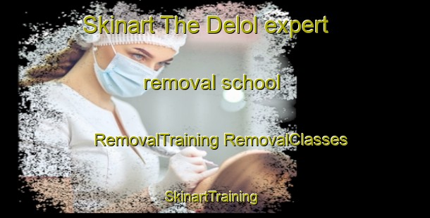 Skinart The Delol expert removal school | #RemovalTraining #RemovalClasses #SkinartTraining-India