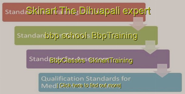Skinart The Dihuapali expert bbp school | BbpTraining | BbpClasses | SkinartTraining-India