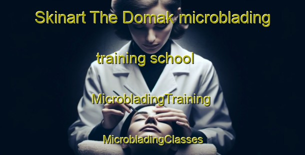 Skinart The Domak microblading training school | #MicrobladingTraining #MicrobladingClasses #SkinartTraining-India