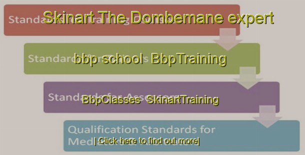 Skinart The Dombemane expert bbp school | BbpTraining | BbpClasses | SkinartTraining-India