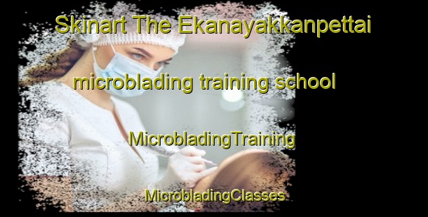 Skinart The Ekanayakkanpettai microblading training school | #MicrobladingTraining #MicrobladingClasses #SkinartTraining-India