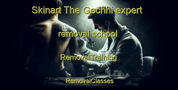 Skinart The Gochhi expert removal school | RemovalTraining | RemovalClasses | SkinartTraining-India