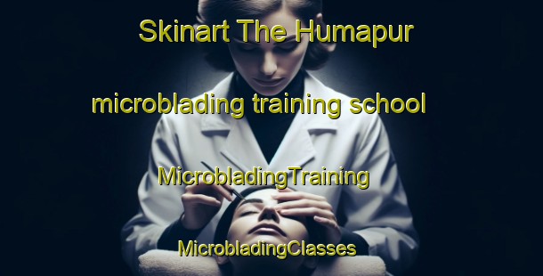Skinart The Humapur microblading training school | MicrobladingTraining | MicrobladingClasses | SkinartTraining-India