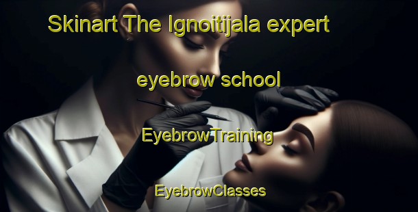 Skinart The Ignoitijala expert eyebrow school | EyebrowTraining | EyebrowClasses | SkinartTraining-India