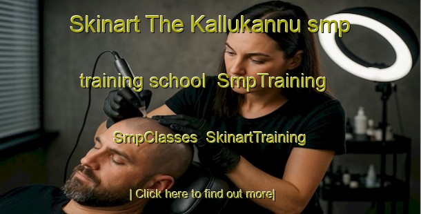 Skinart The Kallukannu smp training school | SmpTraining | SmpClasses | SkinartTraining-India
