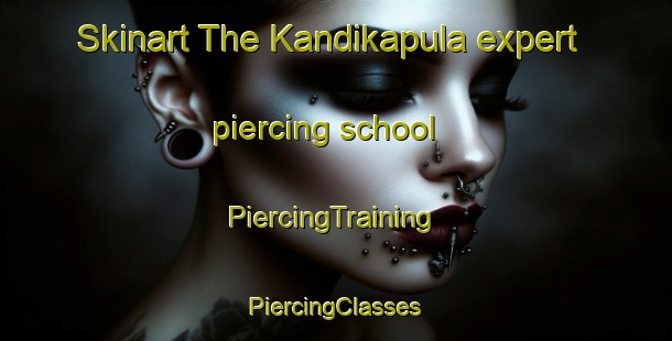 Skinart The Kandikapula expert piercing school | #PiercingTraining #PiercingClasses #SkinartTraining-India